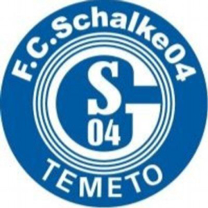 Schalke Temeto Gol F.C.